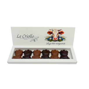 copy of Marhsmallow bear in dark and milk chocolate