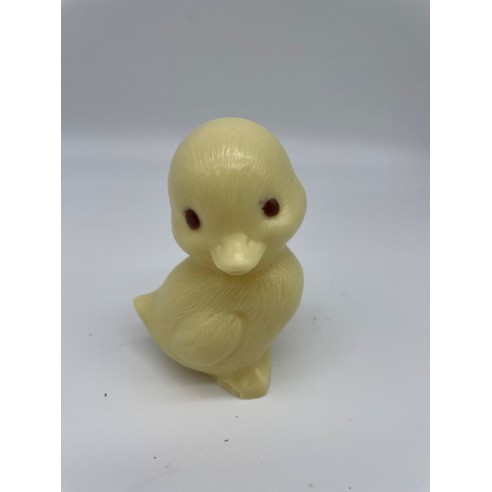 copy of empty modern rabbit