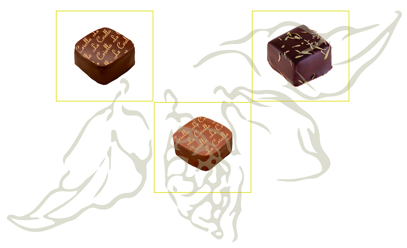 Les chocolats de Pâques de la maison Criollo